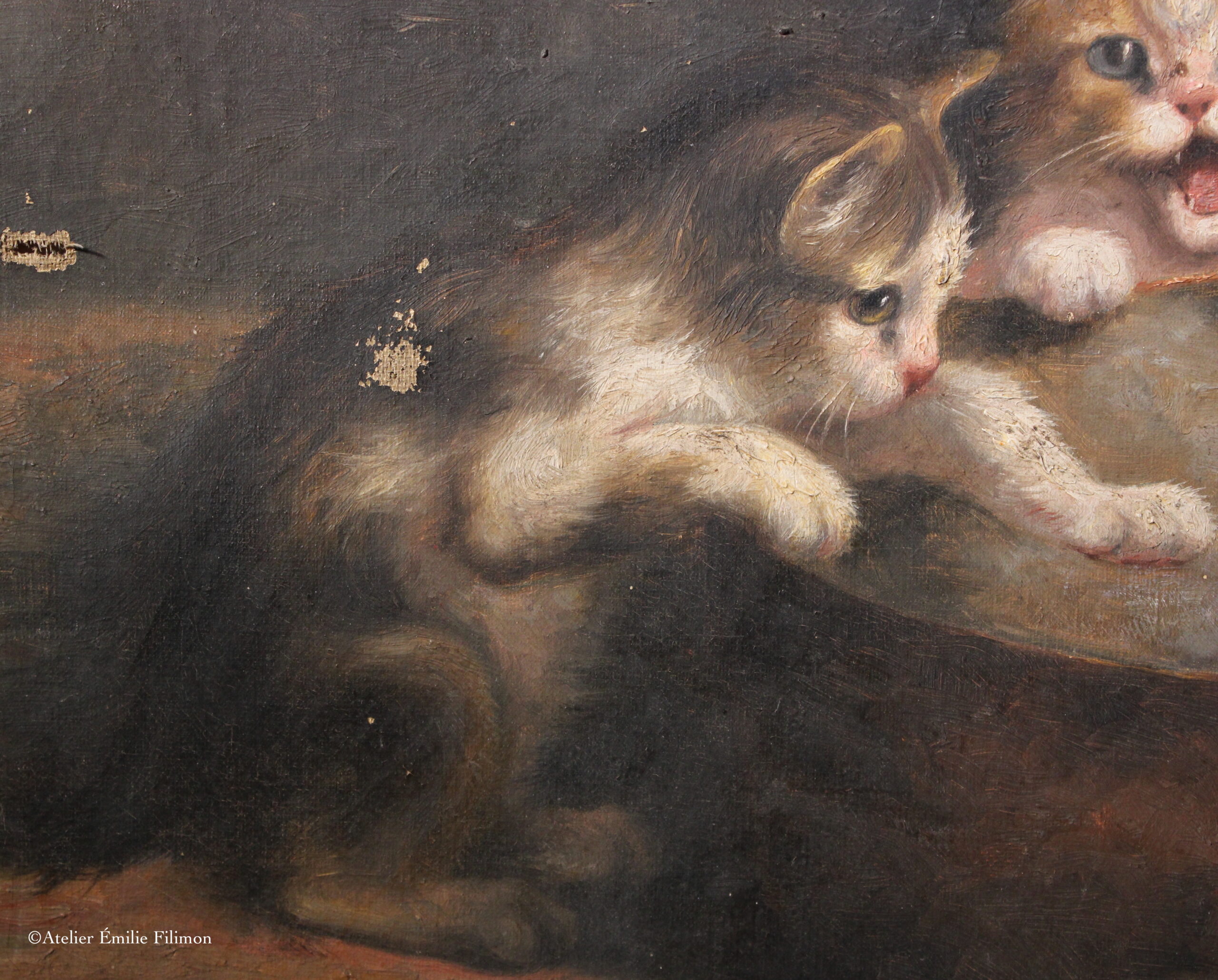 tableau chats avant restauration